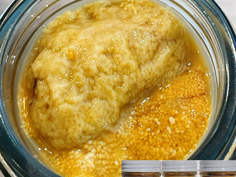 塩にこだわり！　熟成甘塩ウニ　６０gx3本