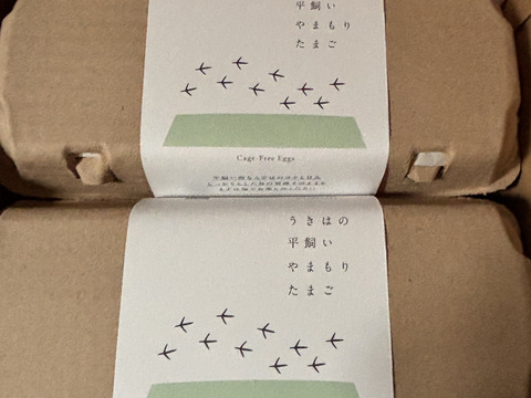 【新規注文の人限定！お試しセット🥚】【お塩で食べられる🐣🍚卵かけご飯】やまもりたまご【20個入】白身の甘みを味ってみませんか？