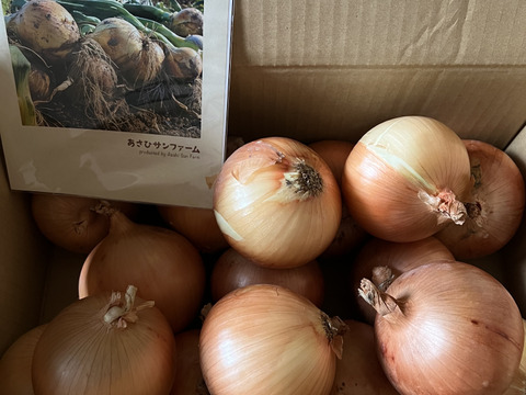 【5kg】淡路島たまねぎ 特別栽培 兵庫県認証食品 ひょうご安心ブランド あさひサンファーム ご家庭 南あわじ市 淡路島産たまねぎ レシピ付き！