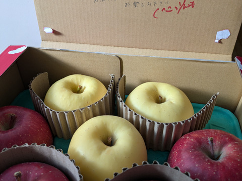 【サンふじ・はるか HALF&HALF】（2kg・6～9個入り）パリパリ・ジューシーお得な家庭用