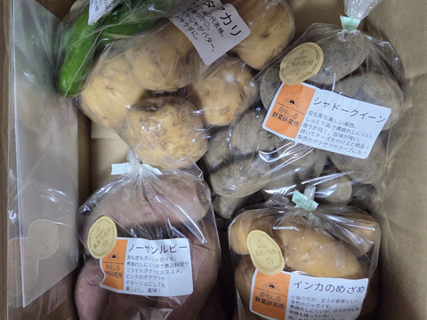 新じゃが4種食べくらべ！インカのめざめ/ノーザンルビー/シャドークイーン/
キタアカリ　各1㎏