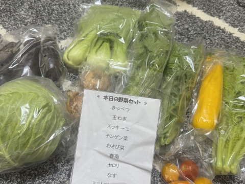 新鮮！旬の野菜セット【SSサイズ：約1.5kg】【7品目】農薬・化学肥料不使用