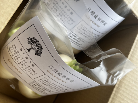 小カブの最高峰！しっとり甘味たっぷりの「みやま小カブ」約1kg