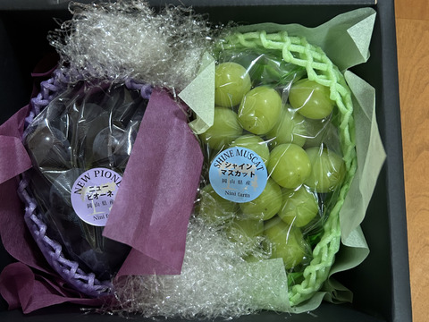 【温室ハウス栽培】 こだわりの高品質ニューピオーネ&シャインマスカット2房計約850g  秀品ランク岡山県産(熨斗対応可) 【夏ギフト】