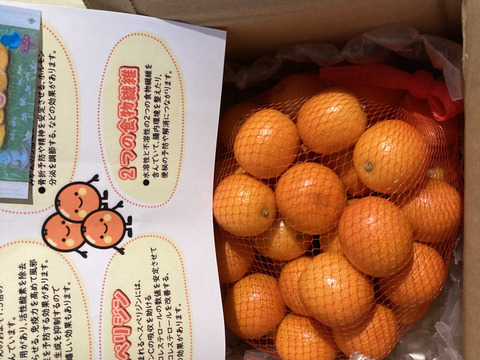 ❮中キズあり❯3Lサイズきんかん(1㎏)　カブッと！