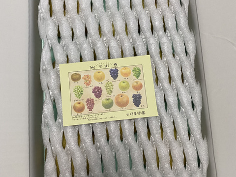 【夏ギフト】人気の幸水【贈答品】３kg箱　甘くてジューシー！8月発送！
