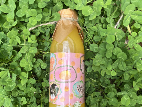 【ギフト対応できます】農薬使用せず育てた甘夏ストレートジュース500g2本