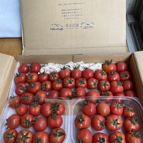 野菜の宝石！【プチぷよとまと】（850g×2箱）1,7キロ：青森県産のプチ