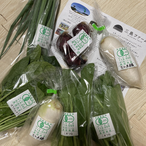 リピーターの皆さまにオススメ！】選べる！有機野菜セット（6種