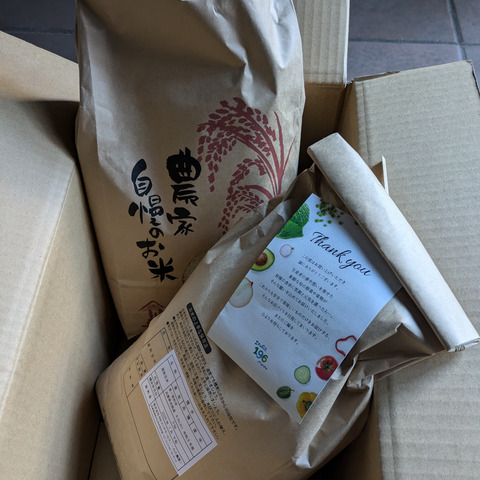 令和6年産新米！淡路島「キヌヒカリ」（5kg×2袋セット）：兵庫県
