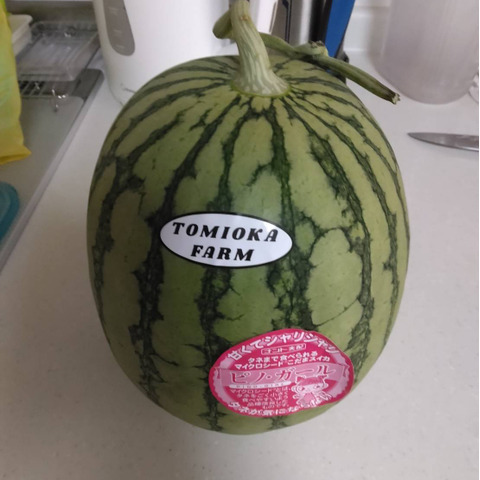 極み小種】小玉スイカ🍉ピノガール2玉セット：熊本県産のその他スイカ