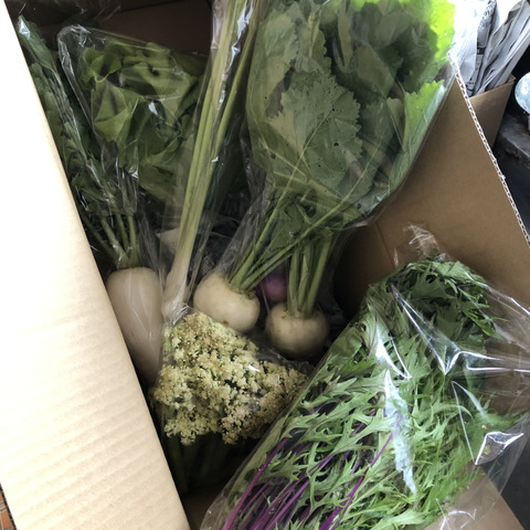 Sサイズ *旬野菜セット(約6~7品)【農薬:栽培期間中不使用 Sサイズ *旬野菜セット(約6~7品)【農薬:栽培期間中不使用