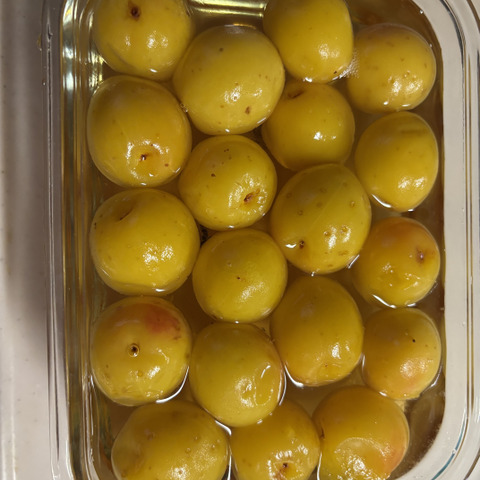 兵庫県産 完全農薬不使用/自然農（白加賀）青梅　7kg 本日限定⭐︎兵庫県産 自然農/完全農薬不使用（白加賀）梅A級&B