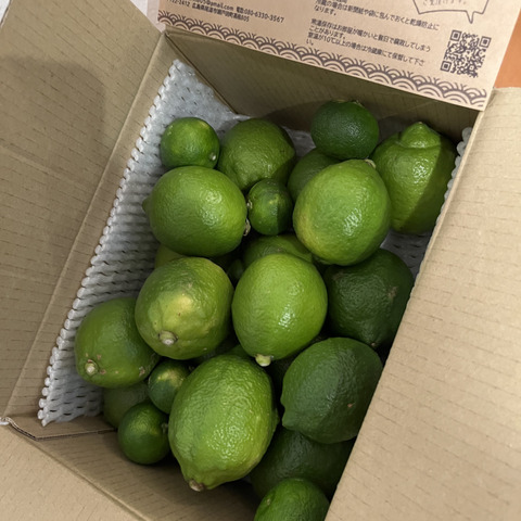 1kg 日本一の国産レモンの生産地 瀬戸田産 グリーンレモン：広島