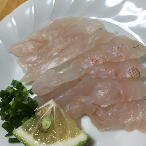 幻の魚 アコウ キジハタ 0 2 0 4 5匹 香川県のレビュー一覧 食べチョク 産地直送 産直 お取り寄せ通販 農家 漁師から旬の食材を直送 幻の魚 アコウ キジハタ 0 2 0 4 5匹 香川県のレビュー一覧 食べチョク 産地直送 産直 お取り寄せ通販 農家 漁師から旬の食材を直送