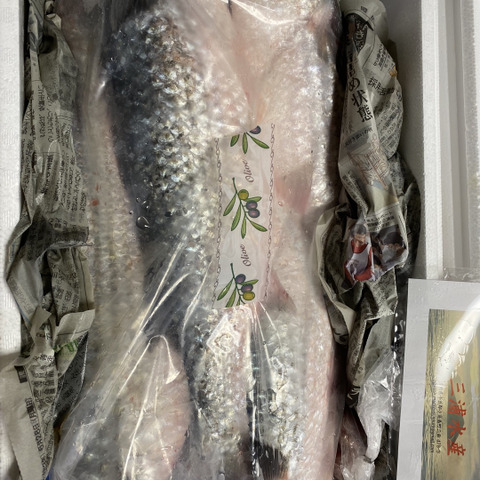 寒ボラ3匹 水揚げ次第発送 香川県のレビュー一覧 食べチョク 産地直送 産直 お取り寄せ通販 農家 漁師から旬の食材を直送