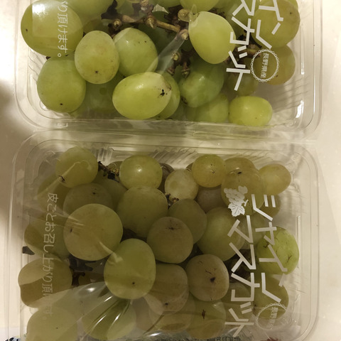 加工用】シャインマスカット 900g（約450g×2pc 約2房分）長野名産・皮
