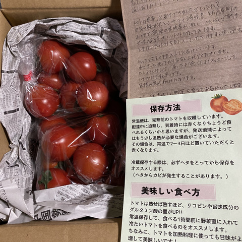 人気新品入荷 食べ応え抜群‼️】肉厚で美味しさがギュッと詰まった 野菜