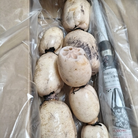 2022年・2023年 2連覇！れんこんグランプリ 最優秀賞 受賞！ 2キロ