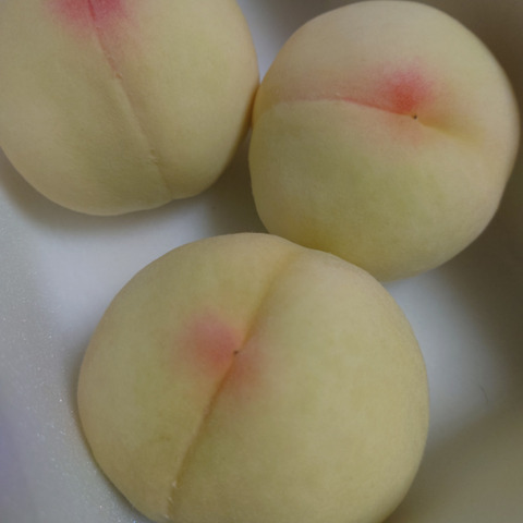贈答用】【清水白桃ロイヤル】 果肉が柔らかくて果汁たっぷり！桃の
