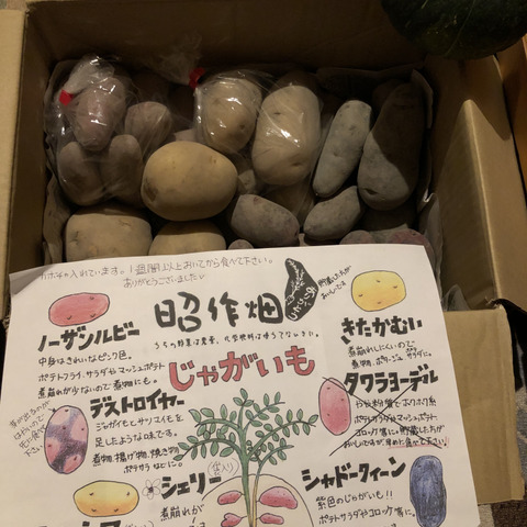 無農薬 訳あり 新ジャガ4 5種4 おまけ付き 高知県のレビュー一覧 食べチョク 農家 漁師の産直ネット通販 旬の食材を生産者直送