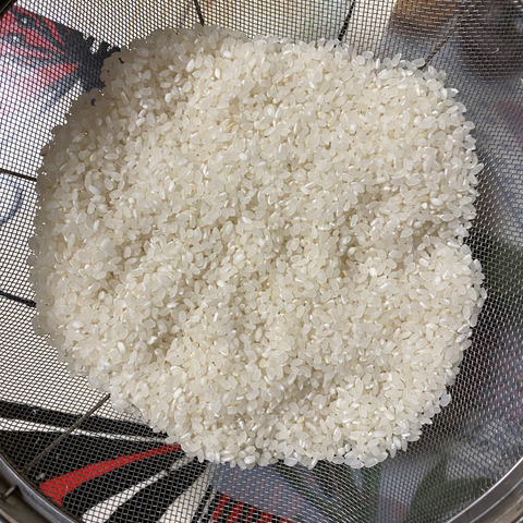 令和6年産新米！淡路島「キヌヒカリ」（5kg×2袋セット）：兵庫県