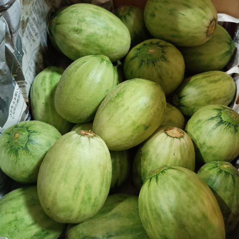 激安人気新品 季節限定』地元で大人気❣️摘果メロン《子メロン》(2kg)：茨城 野菜