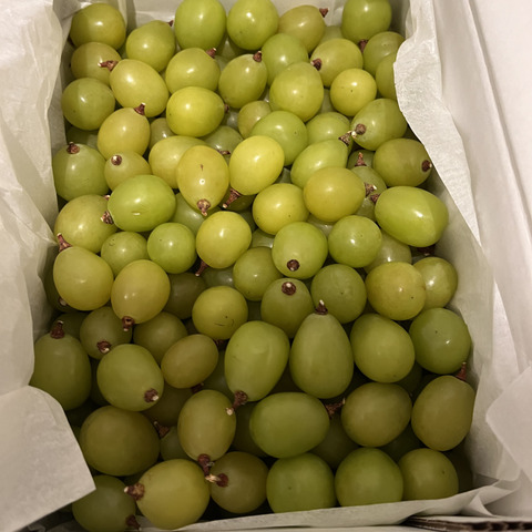 訳あり シャインマスカット(バラ2kg)：山梨県産のシャイン