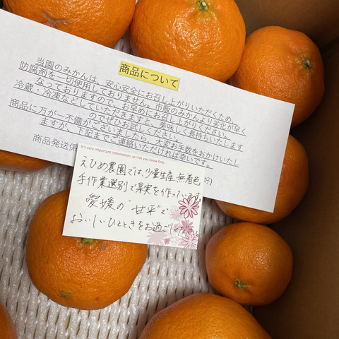 訳あり】愛媛県産 高級希少品種 甘平 サイズ不揃い 3キロ 家庭