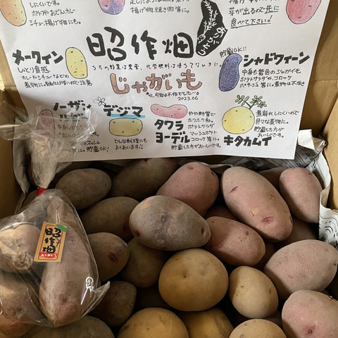 ☆食べ比べ☆ジャガイモ3～4種類：高知県の投稿｜食べチョク