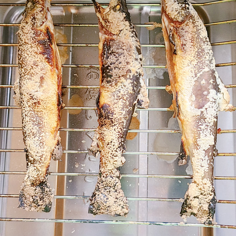 活〆 いわな鮮魚 5尾 出荷直前水揚げ ゴミが出ません 内臓処理済み おうちキャンプに イワナ５匹 無投薬の美味しい岩魚 いわな5尾 岐阜県のレビュー一覧 食べチョク 農家 漁師の産直ネット通販 旬の食材を生産者直送