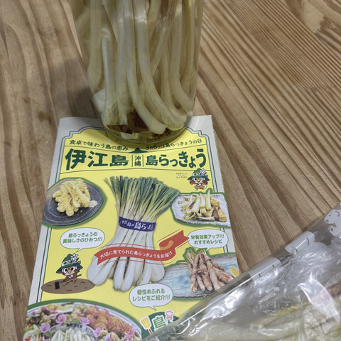 沖縄 伊江島特産】島らっきょう 3kg：沖縄県産の島らっきょう｜食べ