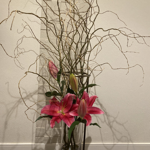 【ユリナ】 kotohayokozawa】【CONVERSE】ROADCLASSIC SS OX (WOMEN'S