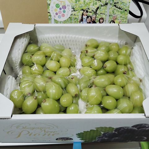 訳あり】シャインマスカット2kg箱：岡山県産のシャイン