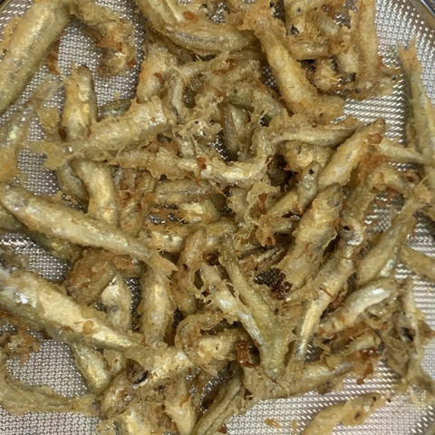天然鮎8kg入り！ 琵琶湖産小鮎 11センチ～12センチ 天ぷら唐揚げアヒージョ 鰻釣りや観賞魚の餌にも