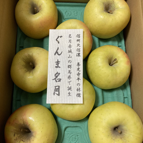 信州産　ぐんま名月　家庭用3kg 楽天市場】【りんご】 ぐんま名月 3kg 予約発送 2025年 11月上旬