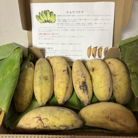 特別価格！】沖縄産ナムワバナナ1kg：沖縄県のレビュー｜食べ