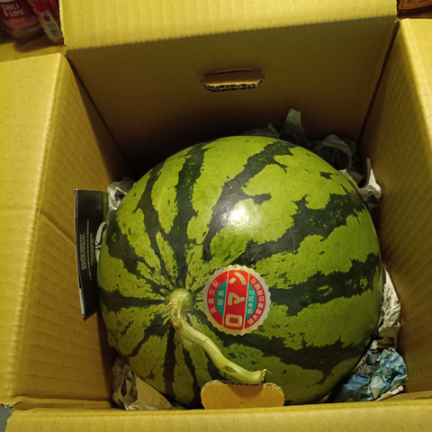 数量限定】熊本県植木産スイカ！《ロマン》(Lサイズ7kg)：熊本県産の羅