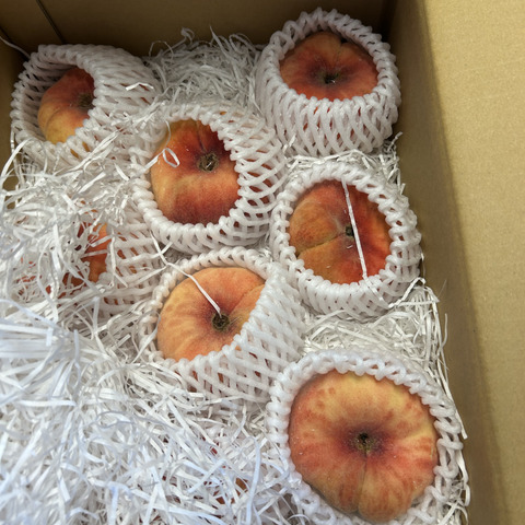 平たい桃 小さい蟠桃 9個入り：和歌山県産の蟠桃｜食べチョク｜産地