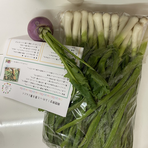 金賞受賞】葉にんにく 1キロ 食欲そそる香り野菜：愛知県産のその他