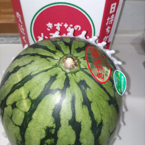 小玉すいか あきた夏丸チッチェ2L1玉（約3㎏）：秋田県の