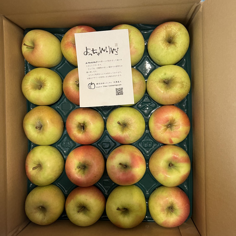 青森県産ぐんま名月💛家庭用約4.5Kg🍏 数量限定：青森県産のぐんま名月