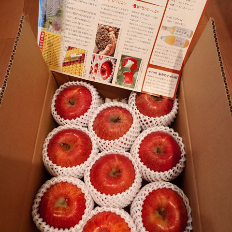 ☆祝日本一☆ 青森県りんご品評会40年連続金賞受賞 10年に1度の