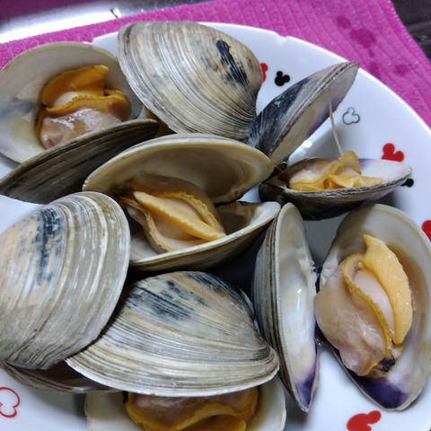 ホンビノス貝1kg【Lサイズ】（1個100g~160g位 1kg7~9個位