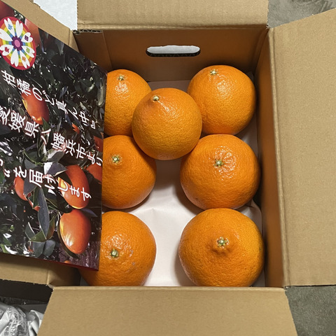 家庭用】プリンセス 2kg 最強コラボの新品種(まどんな×甘平