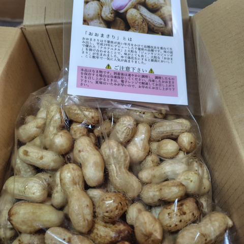 旬物】ぷりぷり大粒！千葉県産おおまさり1kg 食べ応えバツグンの