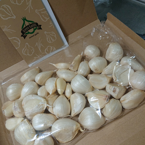 新物 青森県産 訳あり にんにく バラ 500g ホワイト六片 家庭用