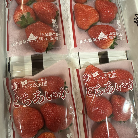 4P)約1kg【いちご・とちあいか】実がしっかりして酸味が少なく甘さが
