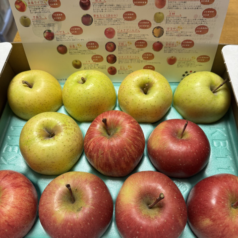 特別栽培りんご】サンふじ🍎🍏王林セット3kg キズなし良品🎁 低