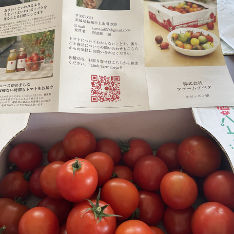 Z1.8*2】皮が薄くジューシーな中玉フルーツトマト ゼッピン娘(華おとめ